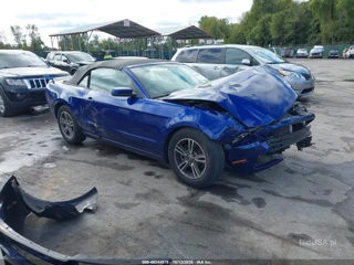 FORD FORD MUSTANG V6 PREMIUM