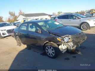 TOYOTA TOYOTA COROLLA LE