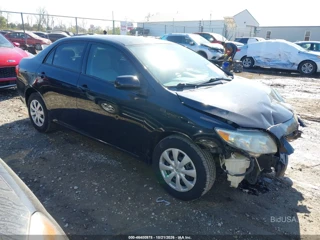 TOYOTA TOYOTA COROLLA LE