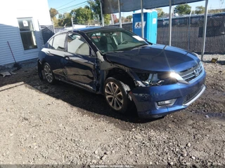 HONDA HONDA ACCORD SPORT