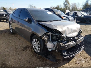 TOYOTA TOYOTA COROLLA LE