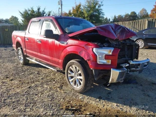 FORD FORD F-150 XLT
