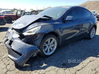 TESLA MODEL  Y