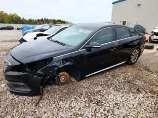 HYUNDAI SONATA SPORT