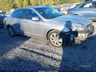 HONDA HONDA ACCORD 3.5 EX-L
