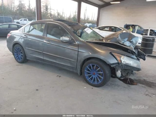 HONDA HONDA ACCORD 3.5 EX-L