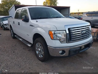 FORD FORD F-150 XLT