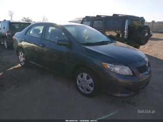TOYOTA TOYOTA COROLLA LE