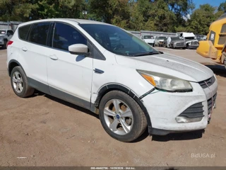 FORD FORD ESCAPE SE