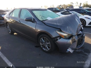 TOYOTA TOYOTA CAMRY SE