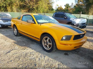 FORD FORD MUSTANG V6 DELUXE/V6 PREMIUM