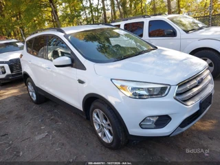 FORD FORD ESCAPE SE