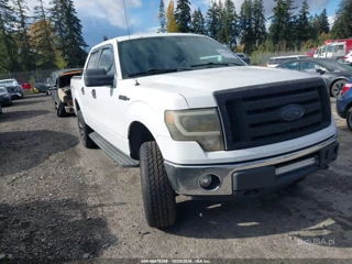FORD FORD F-150 XLT