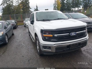 FORD FORD F-150 XLT