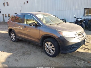 HONDA HONDA CR-V EX