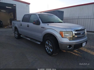FORD FORD F-150 XLT