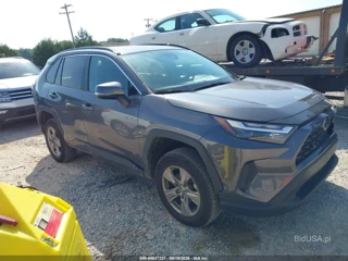 TOYOTA TOYOTA RAV4 XLE