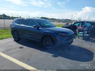 HONDA HONDA CR-V EX-L 2WD