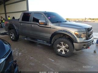 FORD FORD F-150 FX4
