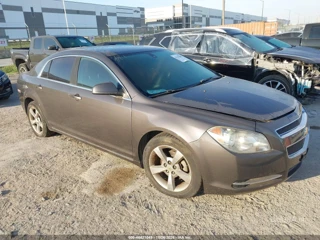 CHEVROLET CHEVROLET MALIBU 1LT