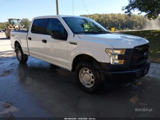 FORD FORD F-150 XL