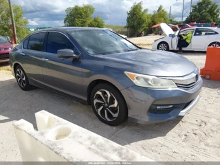 HONDA HONDA ACCORD EX-L V-6