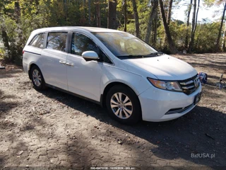 HONDA HONDA ODYSSEY EX-L