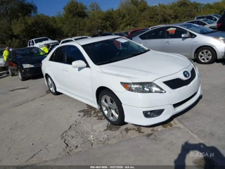 TOYOTA TOYOTA CAMRY SE