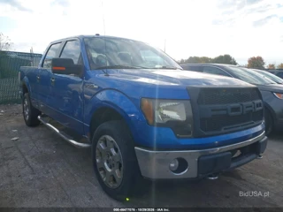 FORD FORD F-150 FX4/HARLEY-DAVIDSON/KING RANCH/LARIAT/PLATINUM/XL/XLT