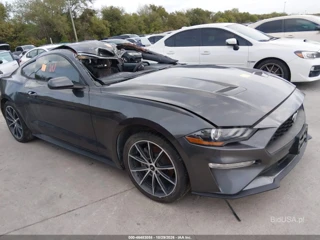 FORD FORD MUSTANG ECOBOOST