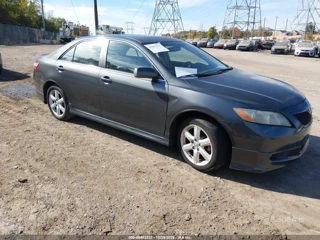 TOYOTA TOYOTA CAMRY SE