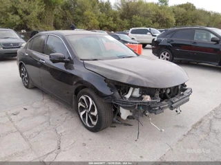 HONDA HONDA ACCORD EX-L V-6