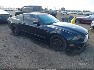 FORD FORD MUSTANG V6