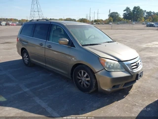 HONDA HONDA ODYSSEY EX-L