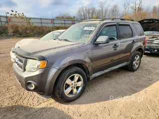FORD ESCAPE XLT