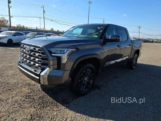 TOYOTA TUNDRA PLATINUM
