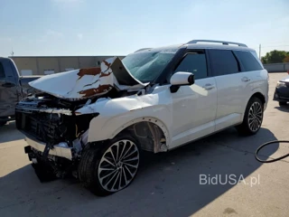 HYUNDAI PALISADE CALLIGRAPHY