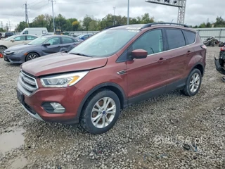 FORD ESCAPE SEL