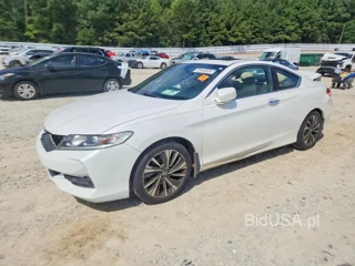 HONDA ACCORD EXL