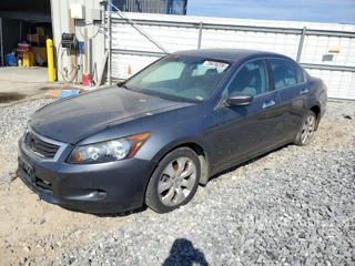 HONDA ACCORD EXL