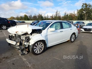 HONDA ACCORD EXL