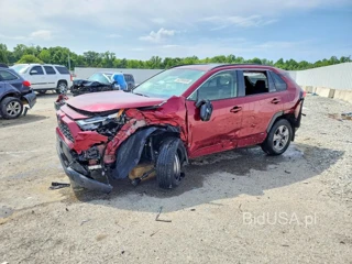 TOYOTA RAV4 HYBRID XLE