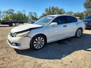 HONDA ACCORD EXL