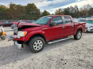 FORD F150 XLT