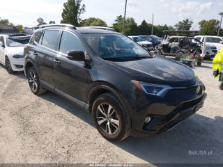 TOYOTA TOYOTA RAV4 XLE