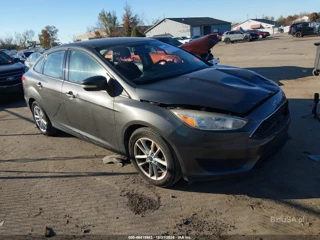 FORD FORD FOCUS SE