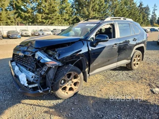 TOYOTA RAV4 WOODLAND EDITION