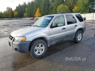 FORD ESCAPE HEV
