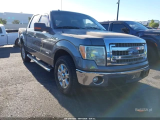 FORD FORD F-150 XLT