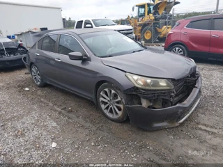 HONDA HONDA ACCORD SPORT